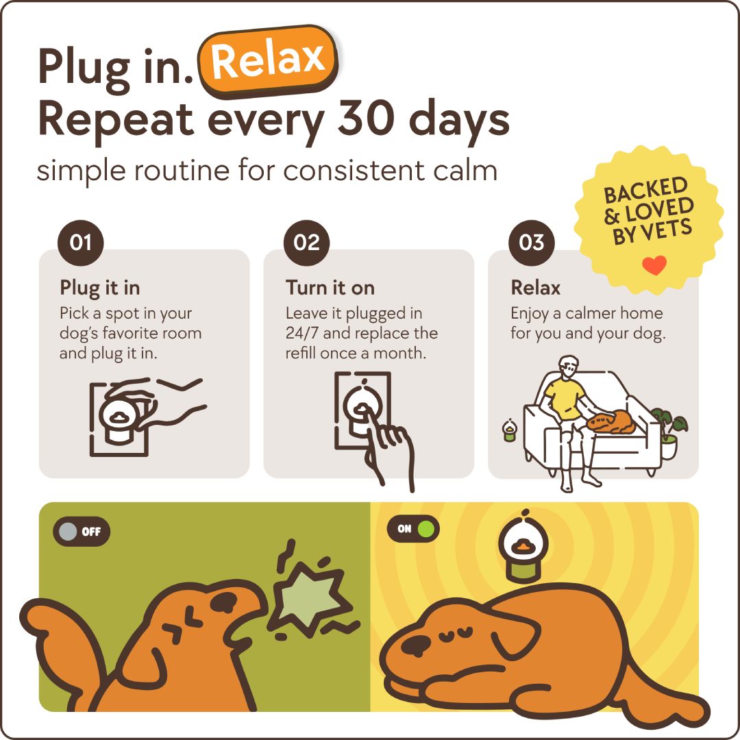 CalmDog™ Beruhigungs-Diffusor Set